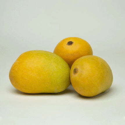 Anwar Ratol Mango