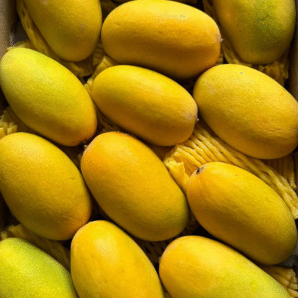 Dosehri Mango